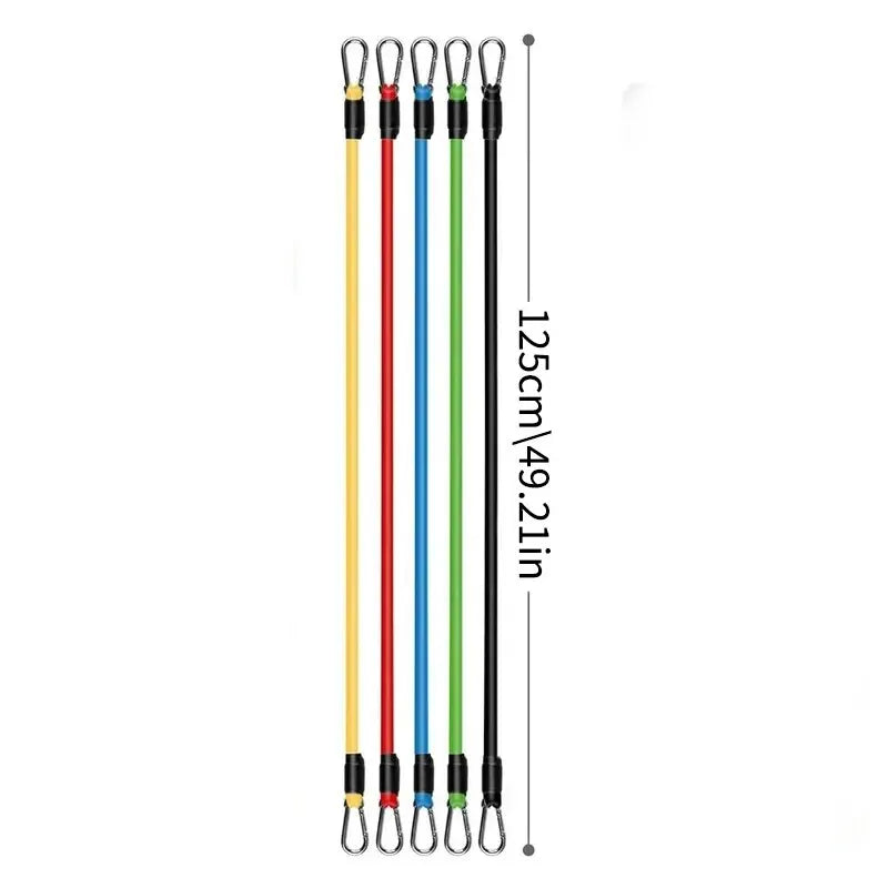 PeakBands 11-Piece Resistance Band Kit — Handles, Door Anchor & Carry Bag